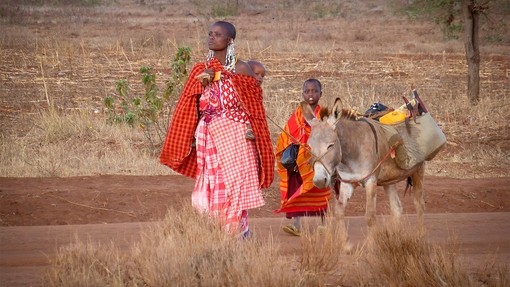 Masaai woman and children.