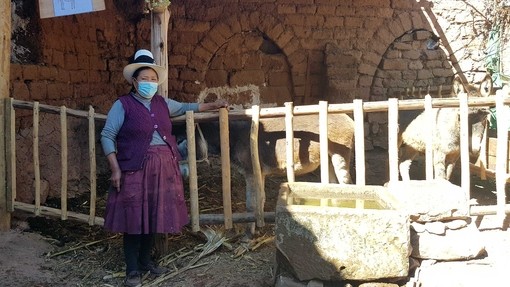 Mrs Julia welcomes to the team to her new donkey shelter, built with support from the CERF project.