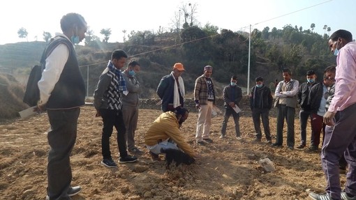 Outdoor azolla cultivation training (Credit: Sanjeevani).