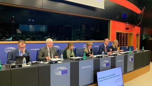 Panel at EU Intergroup meeting Strasbourg.