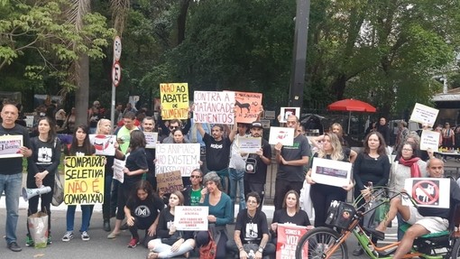 Protestors in Brazil demonstrating against the donkey slaughterhouses.