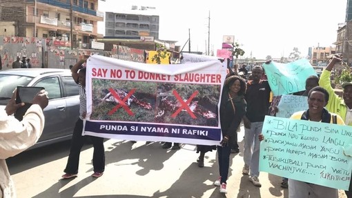 Say no to donkey slaughter, Kenya.