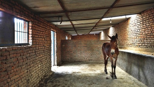 Shelter at a brick kiln in Nepal.