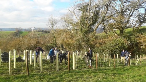 Ecology and Conservation planting trees at Woods Farm.