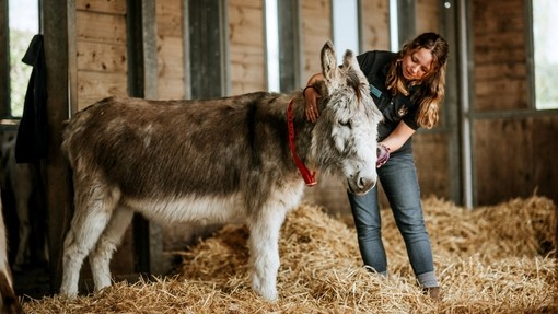 Ashley being groomed.