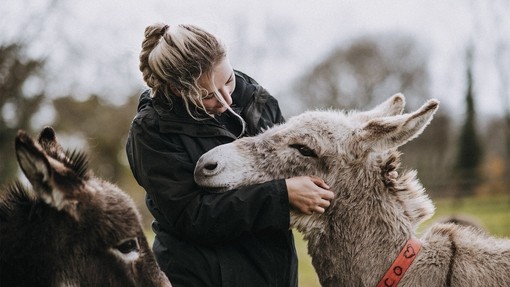 Hannah with Nico the donkey