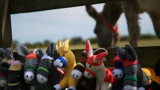 Knitted donkeys in front of donkey