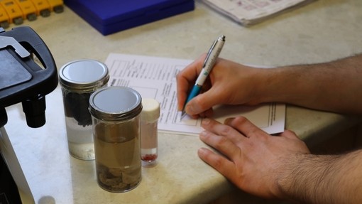 Filling out pathology lab form