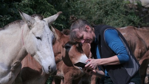 Research team in Nepal, India