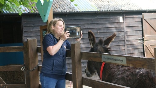 Sarah taking picture of a donkey for assessment