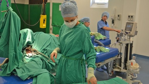Veterinary surgery.