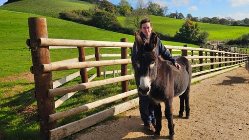 A brown donkey with a white nose stood on a concrete track with his groom.