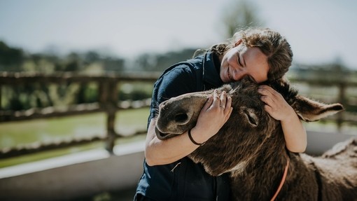 A women holding a donkeys face and hugging a donkey