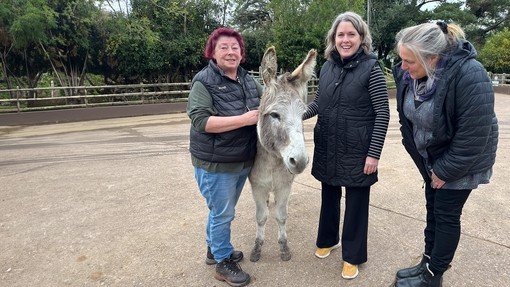 Three women stood with a grey and white donkey in a concrete yard