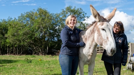 Two grooms stood either side of a large white and beige donkey