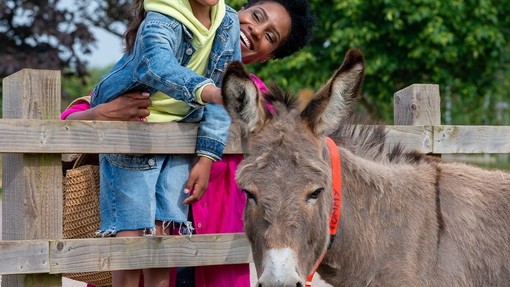 A mum holding her son whilst he strokes a donkey