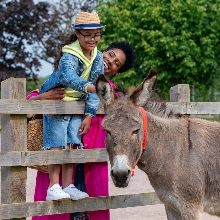 A mum holding her son whilst he strokes a donkey