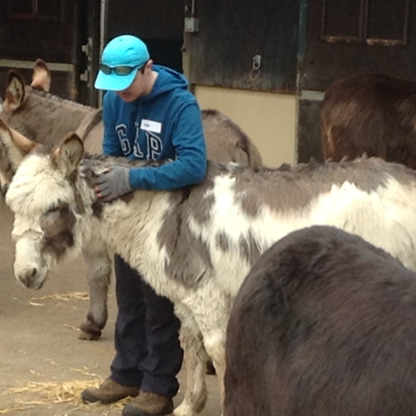 Donkey-assisted therapy with William D