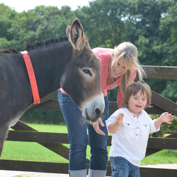 Donkey-assisted therapy