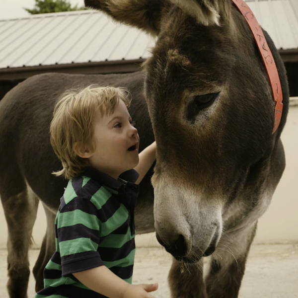 Aaron with donkey Jay Jay