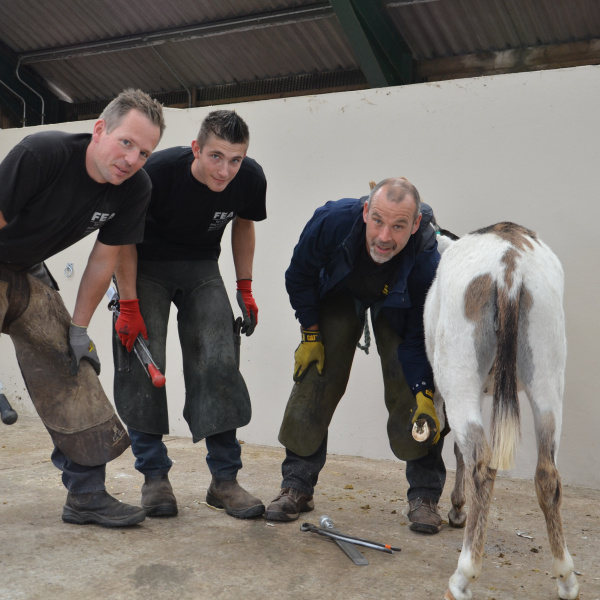 Training farriers for Anegria, a Belgian donkey sanctuary