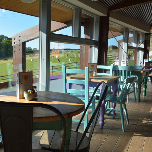 The Kitchen - view over paddocks