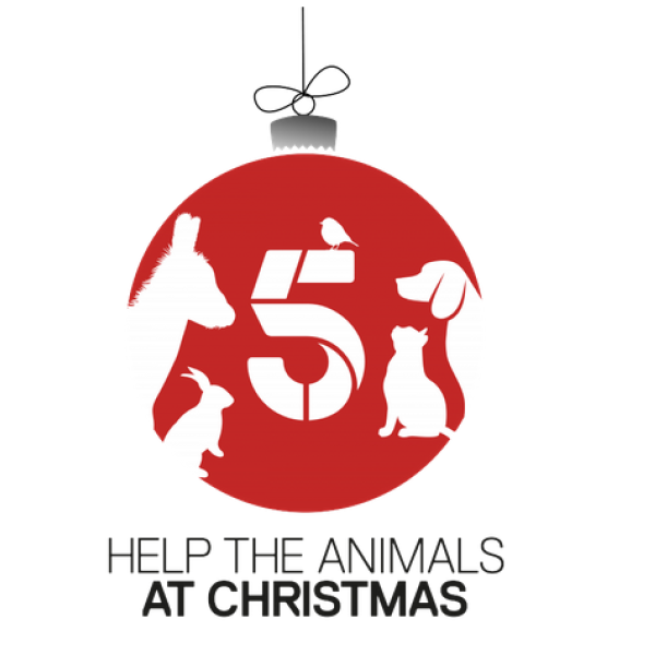 Channel 5 Help the Animals Christmas 2018
