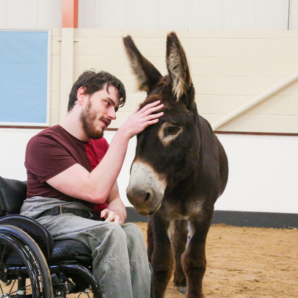 Francis stroking Harbin during donkey assisted therapy session