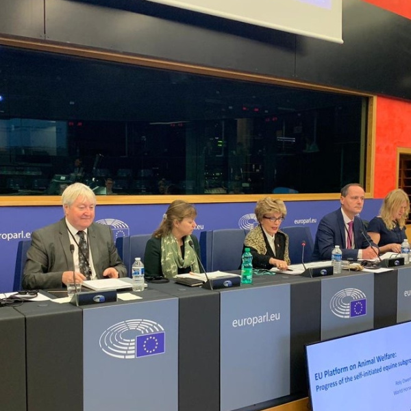 Panel at EU Intergroup meeting Strasbourg