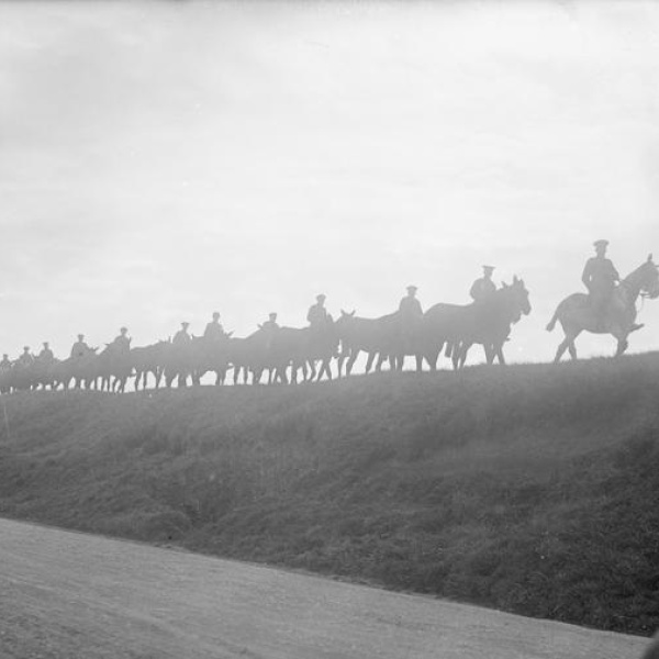 Silhouette of British troops taking mules to water along the Amiens-Albert road October 1916