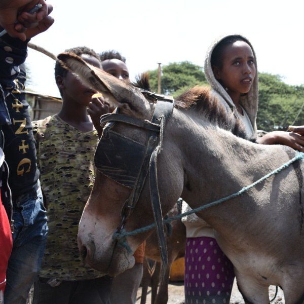 Margartu with donkey, Ethiopia