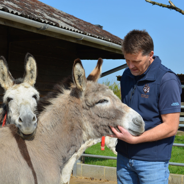 Ben Hart with Blackpool donkeys Sandy and Lucky