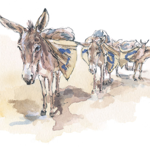 Working donkey watercolour illustration