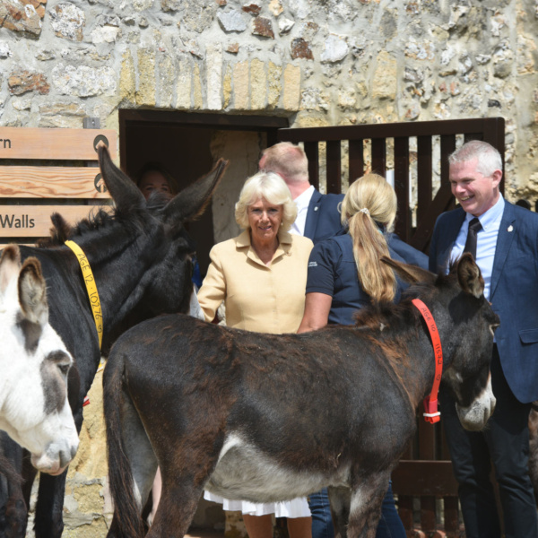 HRH the Duchess of Cornwall with Ruby and other main barn donkeys