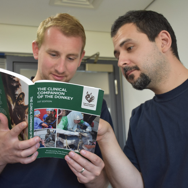 Vets reading Clinical Companion