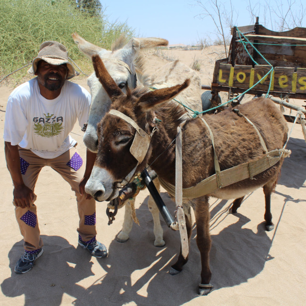 Erwin with nara farming donkeys, Namibia