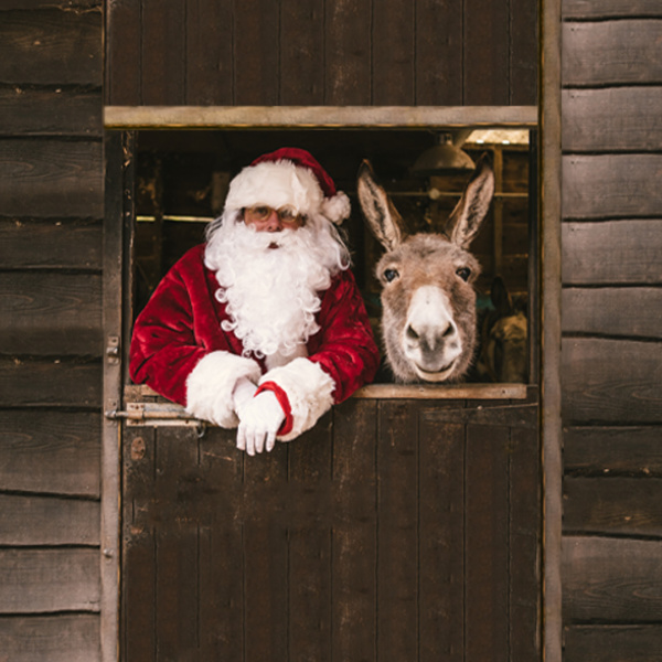 Santa Claus in a stable
