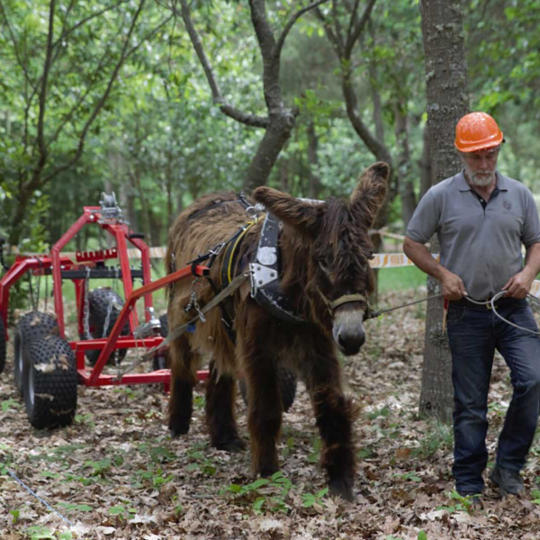 Safer harness project, logging test
