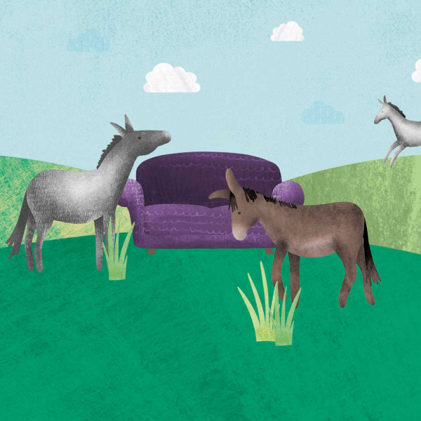 Sanctuary From Your Sofa: Marvellous Mules