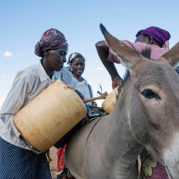 Women loading water on to donkey