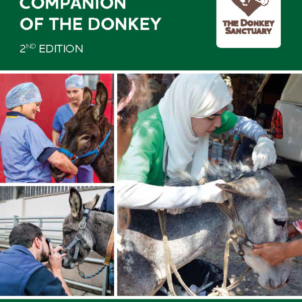 Clinical Companion of the Donkey