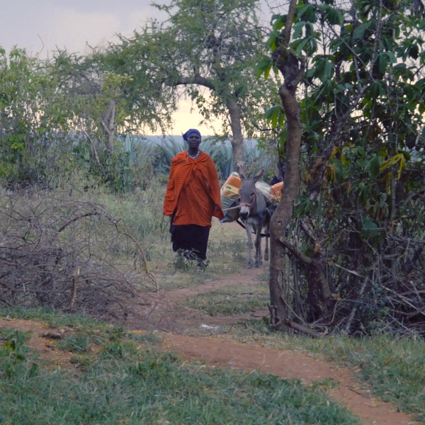 Woman leading donkey to water source in Tanzania