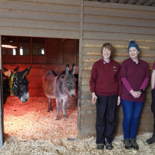 Brookfield Farm volunteers with donkey in shelter
