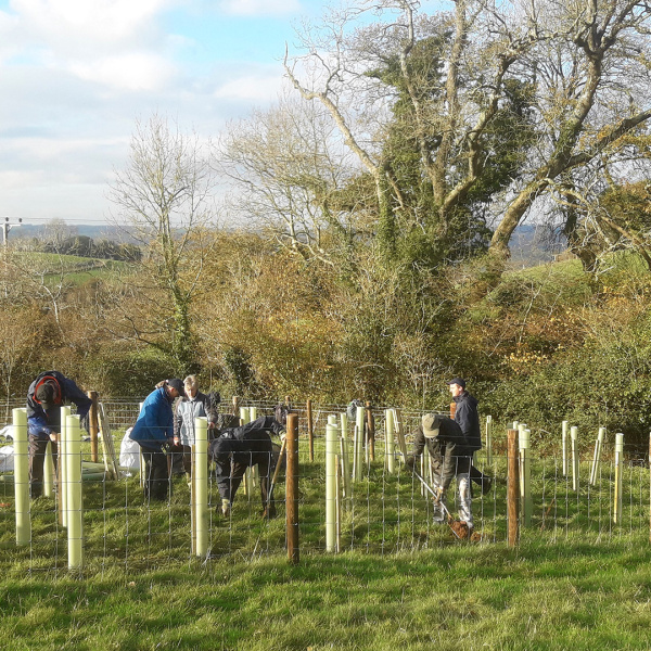 Ecology and Conservation planting trees at Woods Farm
