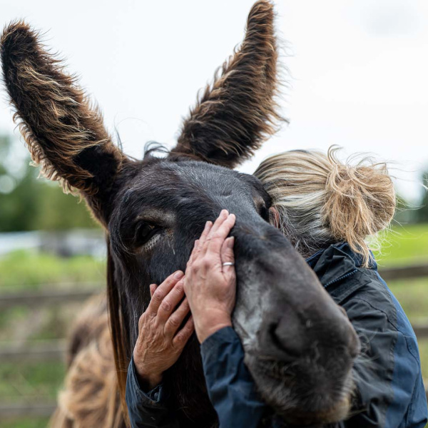 A donkey and staff member enjoying a warm embrace at The Donkey Sanctuary Sidmouth