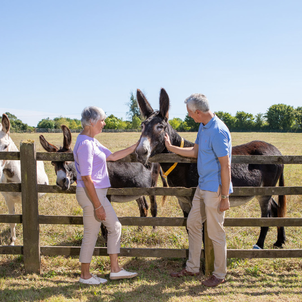 Two legators spending time with a donkey at The Donkey Sanctuary Sidmouth
