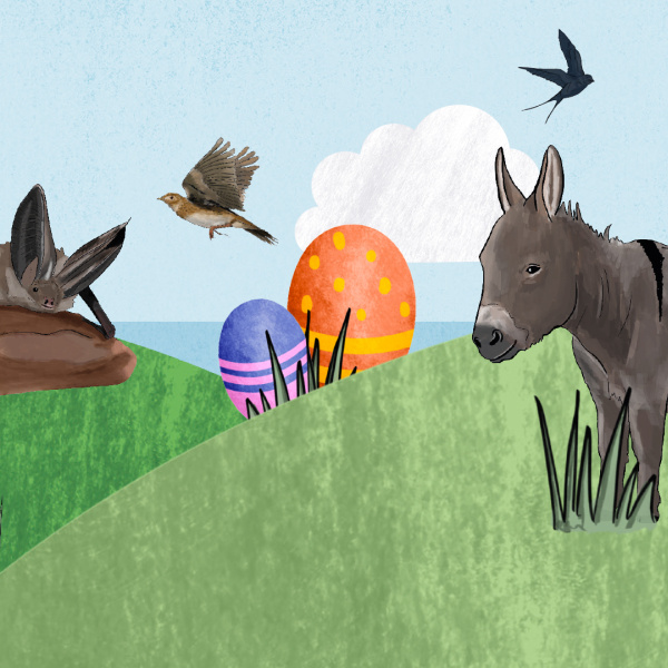 illustration of wildlife on green hills with easter eggs