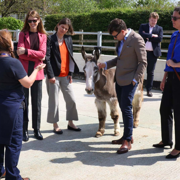 EU delegates at the DAA centre in The Donkey Sanctuary Sidmouth