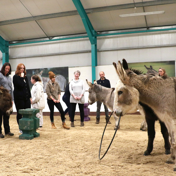 Members from the Mind charity group during the Donkey Facilitated Learning session.