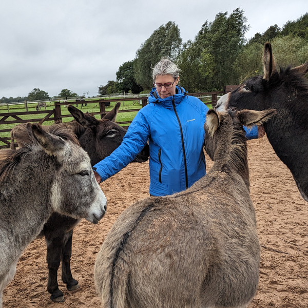 Yorkshire police officer participating in wellbeing with donkey session